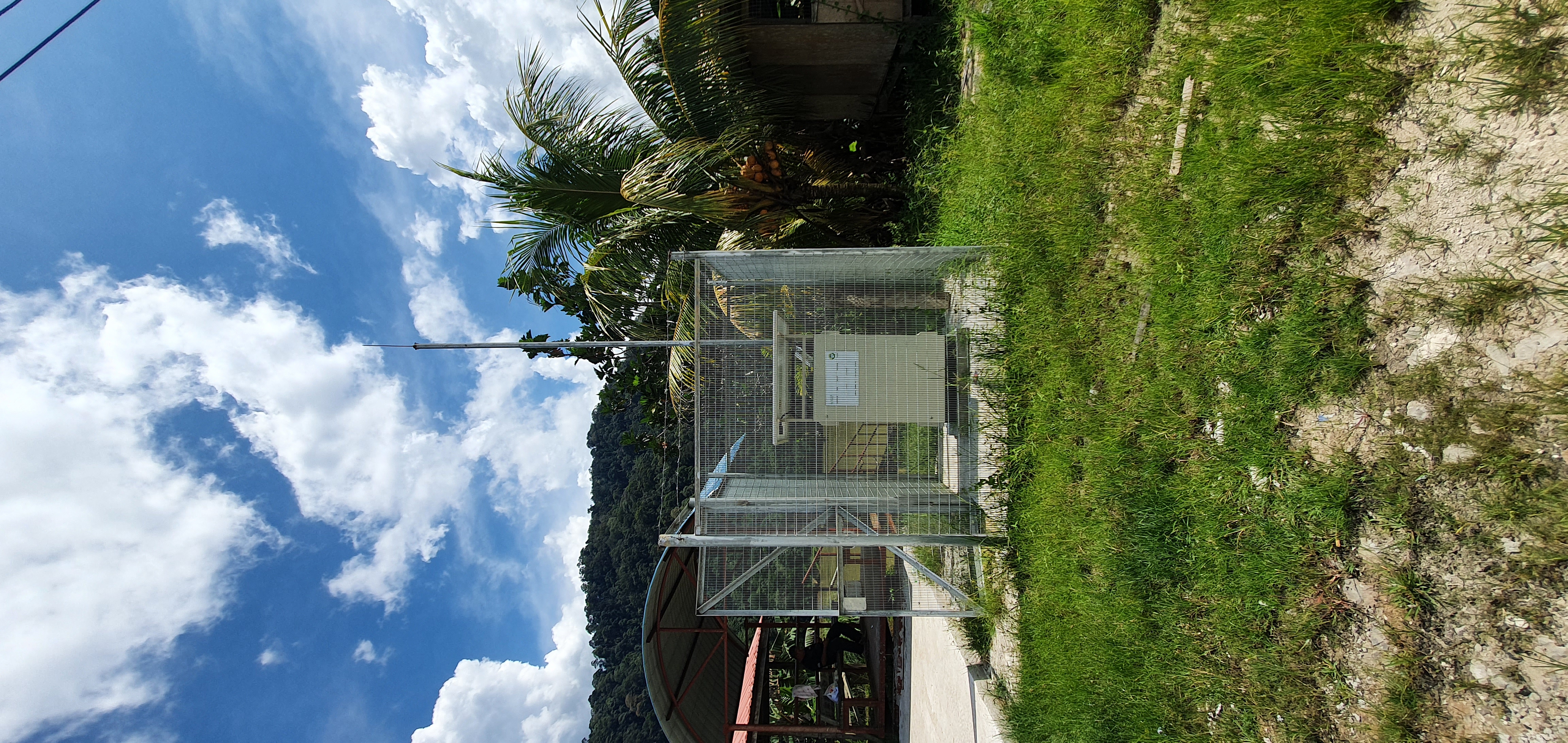 SEB Department